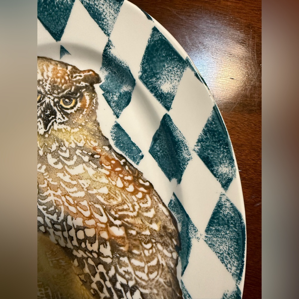 🦉 Vietri Wildlife Owl Oval Platter – Made in Italy – 18” – Wall Hanging Holes - Picture 3 of 10